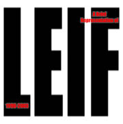A Brief Representation of Leif album cover