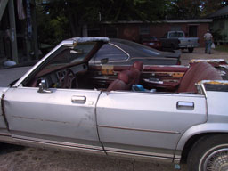 Bottomfeeder from the left side