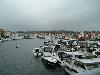 Skudeneshavn boats