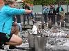 Penguin-feeding at aquarium